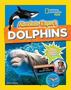 Absolute Expert Dolphins