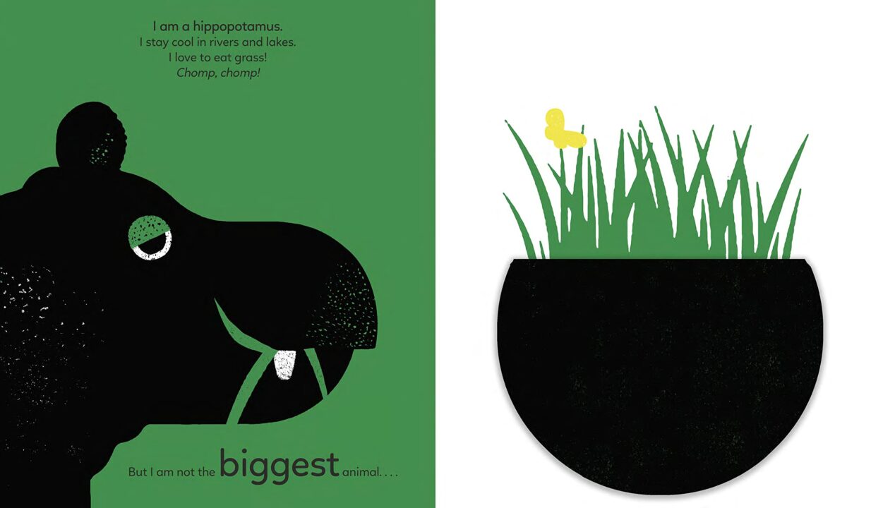 hippo in big bigger biggest