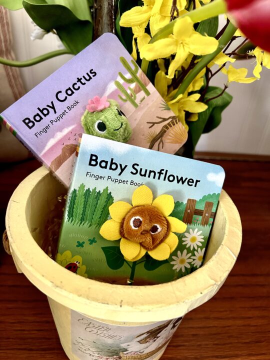 Baby Cactus Baby Sunflower books