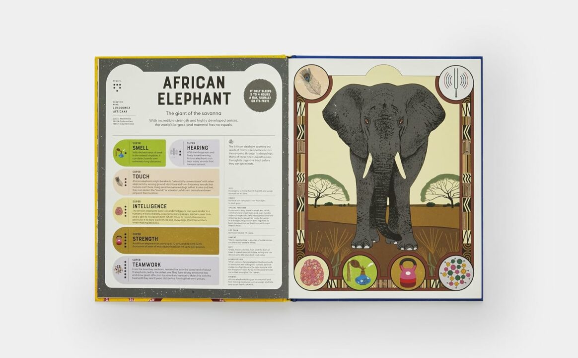 Superpowered African Elephant