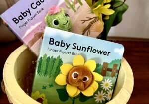 Baby Cactus Baby Sunflower Books