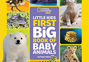 Little Kids First Big Book of Baby Animals