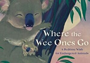 Where the Wee Ones Go